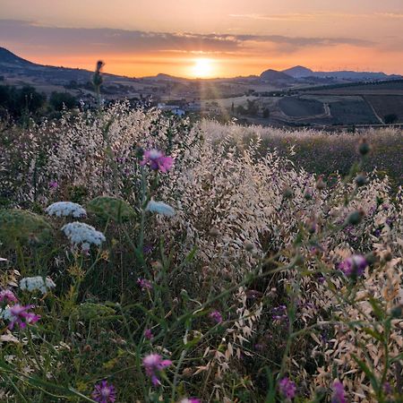B&B Della Via Francigena 阿格里真托 外观 照片