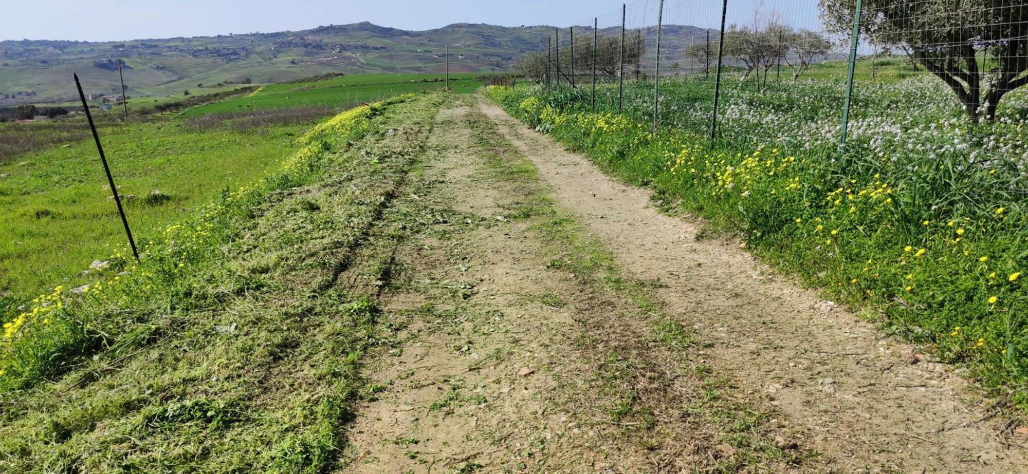 B&B Della Via Francigena 阿格里真托 外观 照片